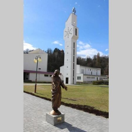 Apartmant Sandra - Big Terace And Free Parking Karlovac Exterior foto
