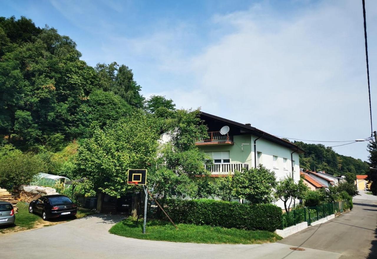 Apartmant Sandra - Big Terace And Free Parking Karlovac Exterior foto