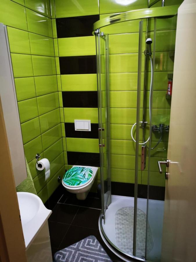 Apartmant Sandra - Big Terace And Free Parking Karlovac Exterior foto