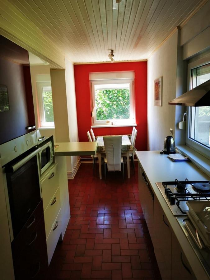 Apartmant Sandra - Big Terace And Free Parking Karlovac Exterior foto