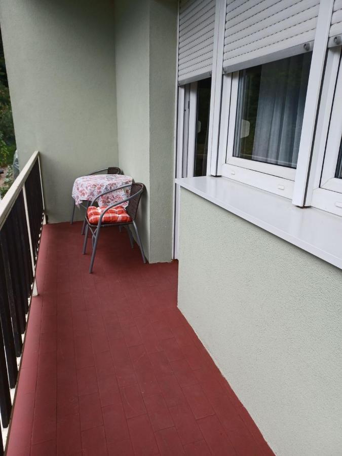 Apartmant Sandra - Big Terace And Free Parking Karlovac Exterior foto