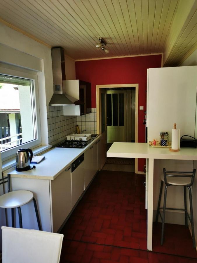 Apartmant Sandra - Big Terace And Free Parking Karlovac Exterior foto