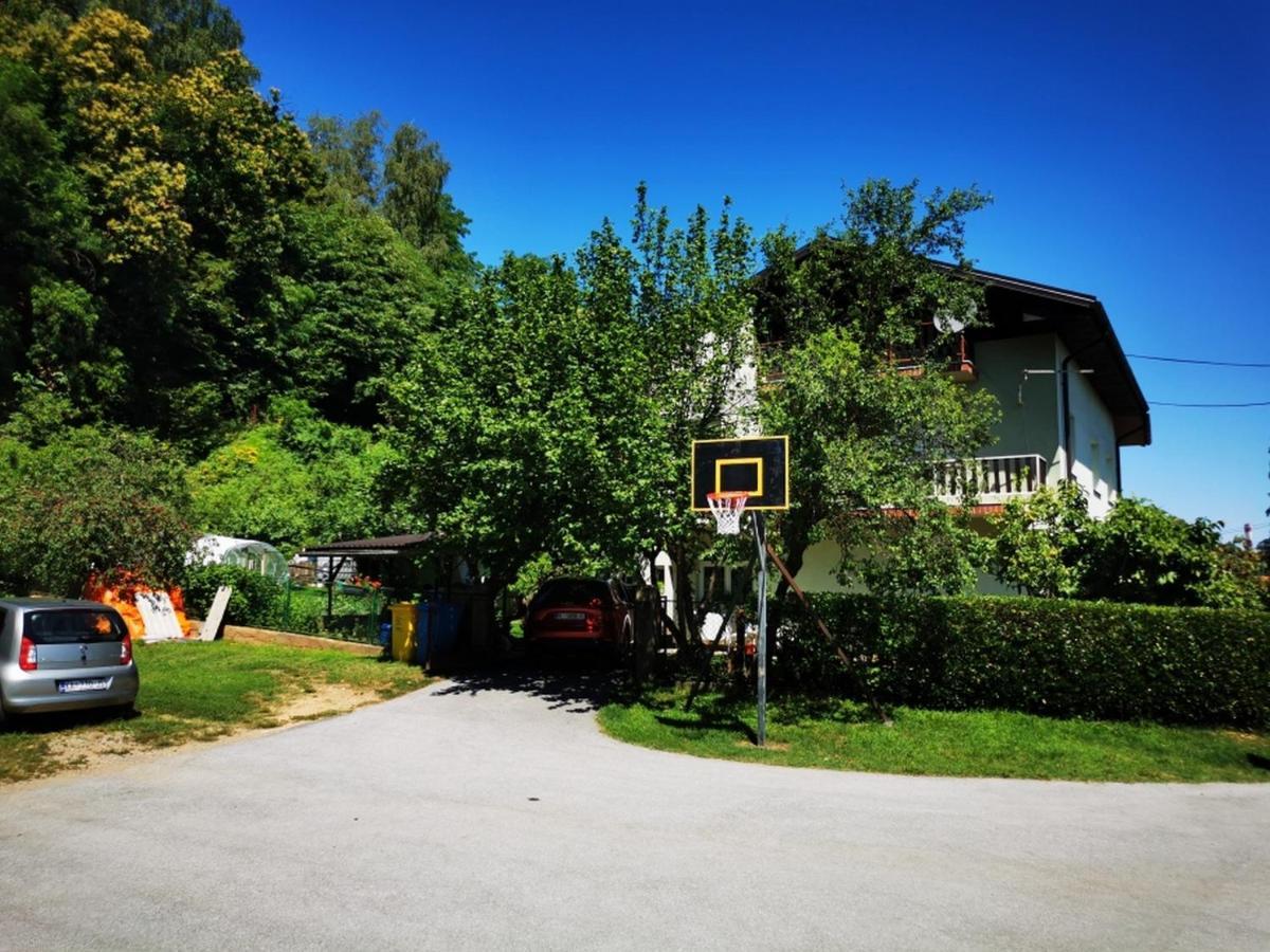 Apartmant Sandra - Big Terace And Free Parking Karlovac Exterior foto
