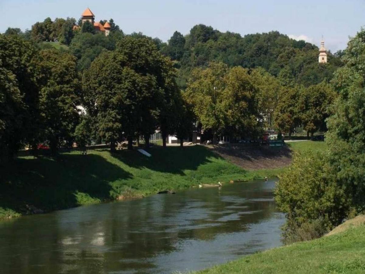 Apartmant Sandra - Big Terace And Free Parking Karlovac Exterior foto
